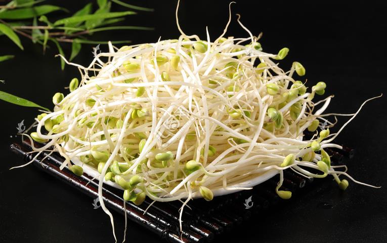 無公害綠色豆芽，怎么生產(chǎn)出來的？全套生產(chǎn)過程如此方便智能